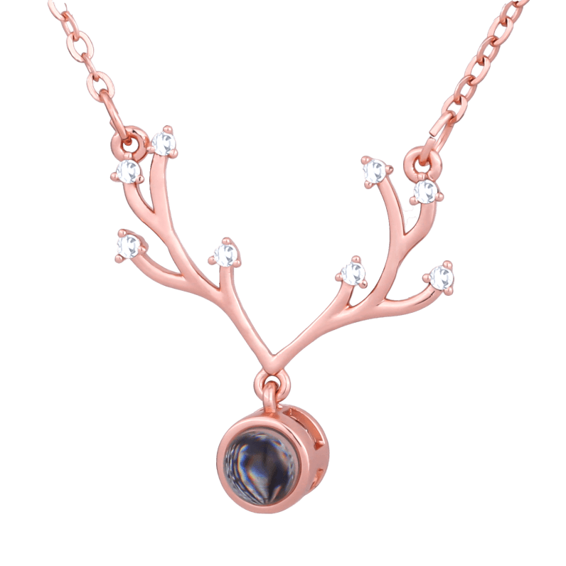 Photo necklace Holder123