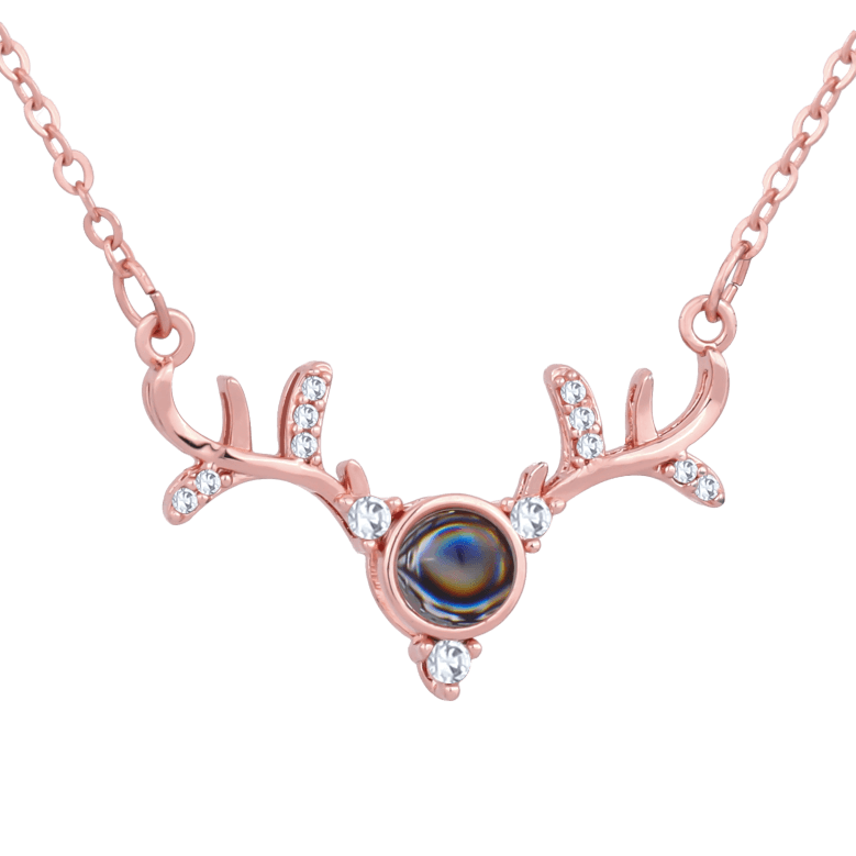 Photo necklace Holder123