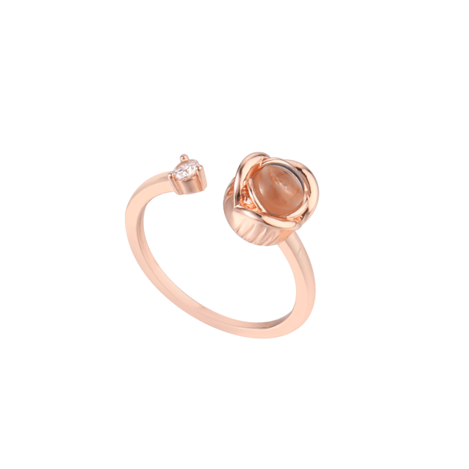 free size ring holder123